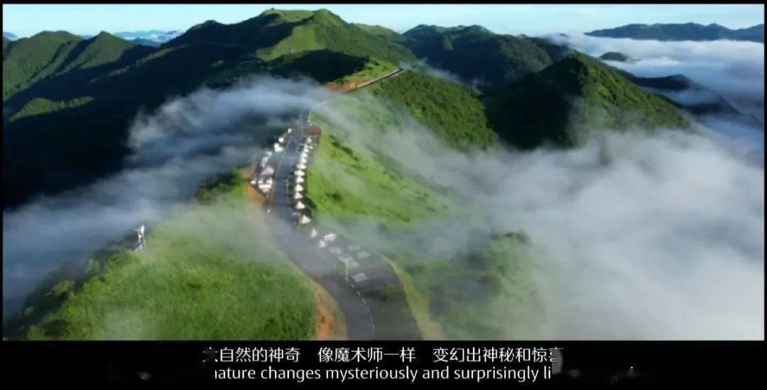 可疑的情况