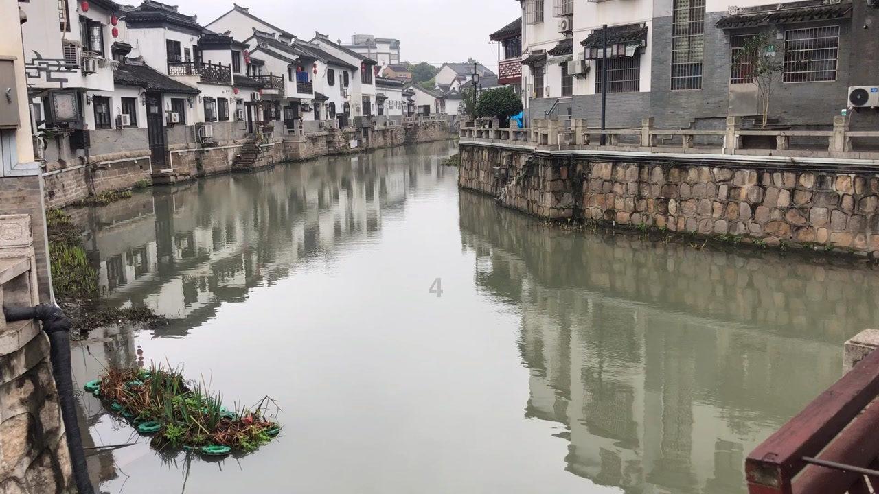蓝色紫色